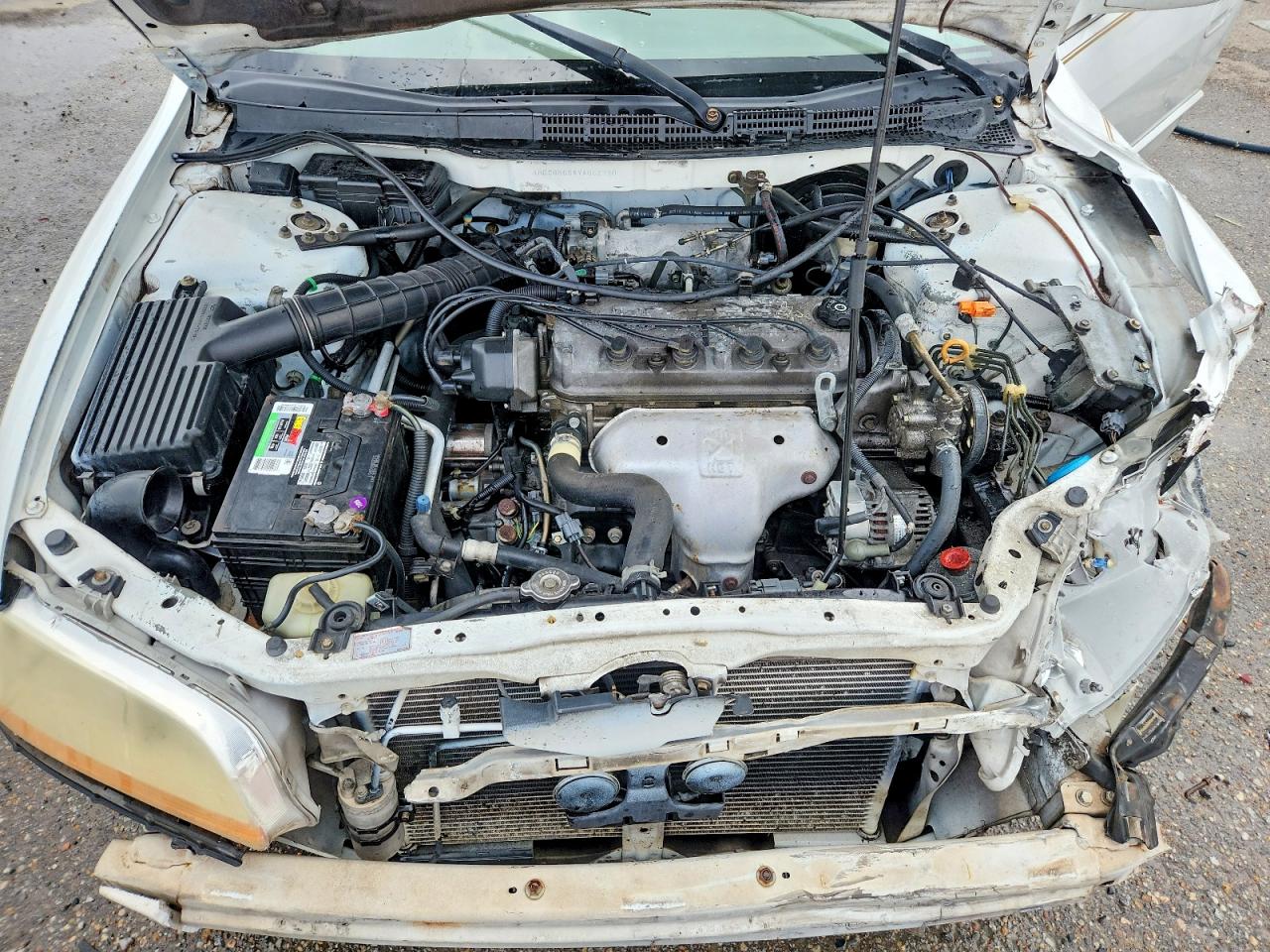 2000 Honda Accord Ex White vin: 1HGCG5664YA052790