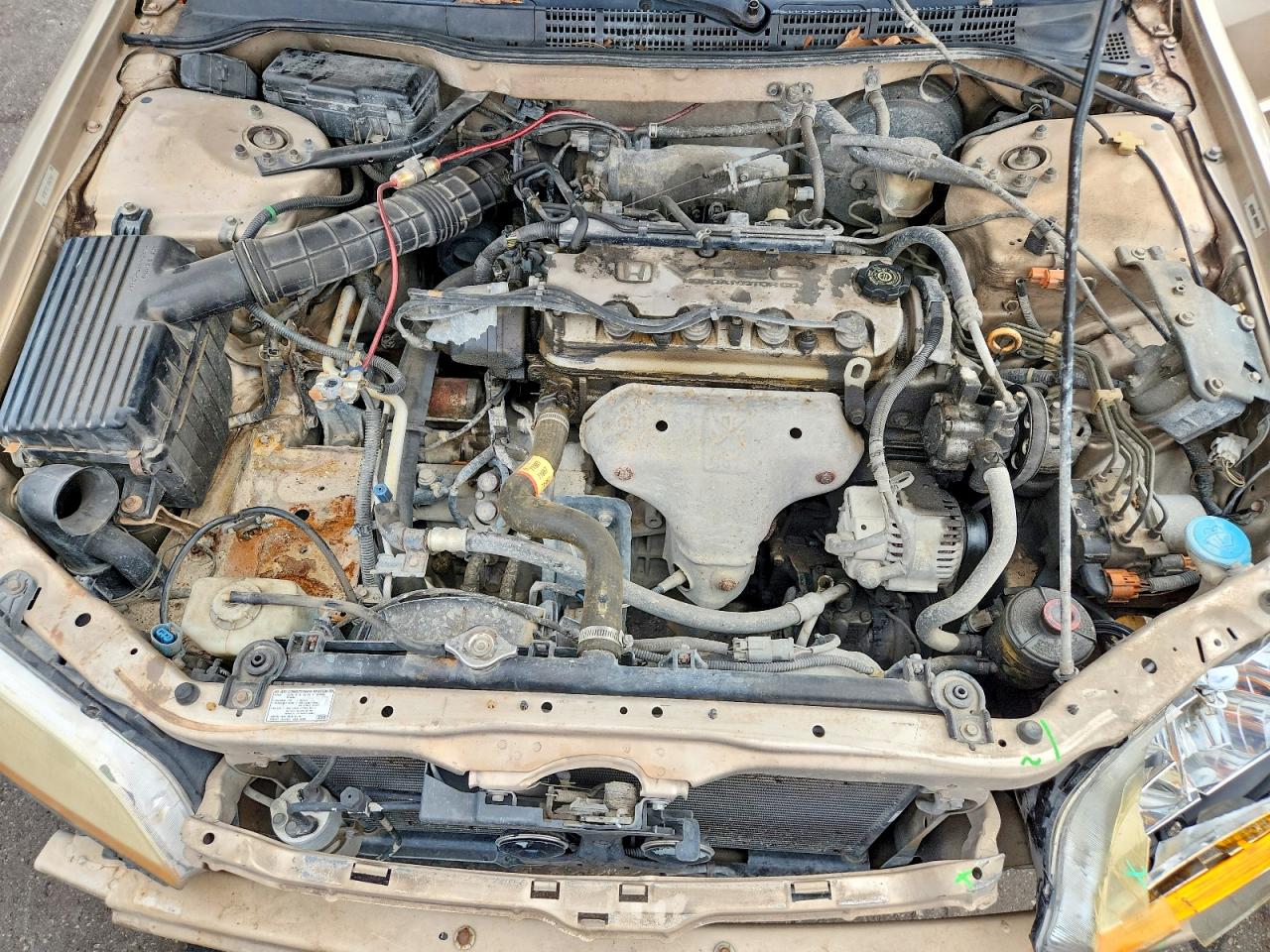 2000 Honda Accord Se Gold vin: 1HGCG5675YA103478
