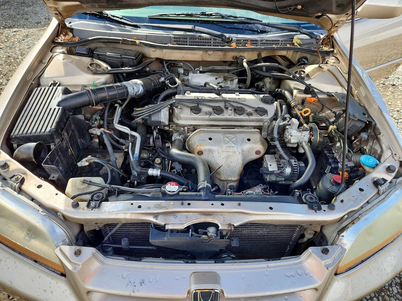 2000 Honda Accord Se Tan vin: 1HGCG5679YA080447