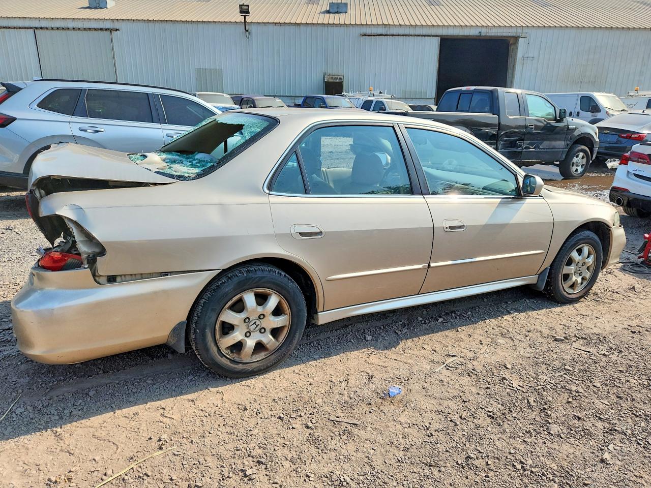2001 Honda Accord Ex Золотой vin: 1HGCG66891A004988