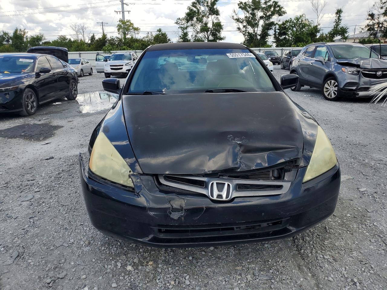 2003 Honda Accord Lx Black vin: 1HGCM55343A012038