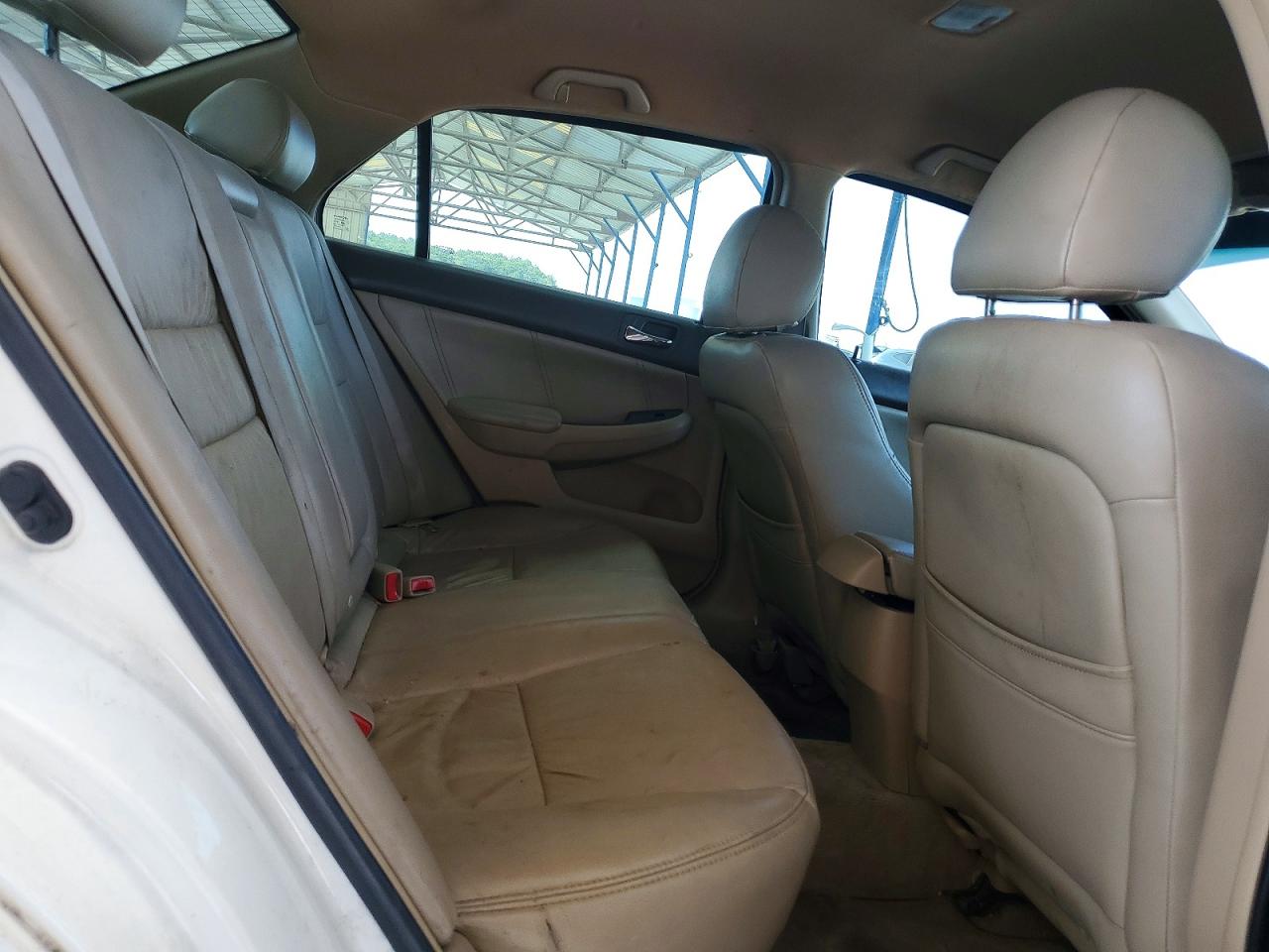 2006 Honda Accord Lx White vin: 1HGCM55406A002362