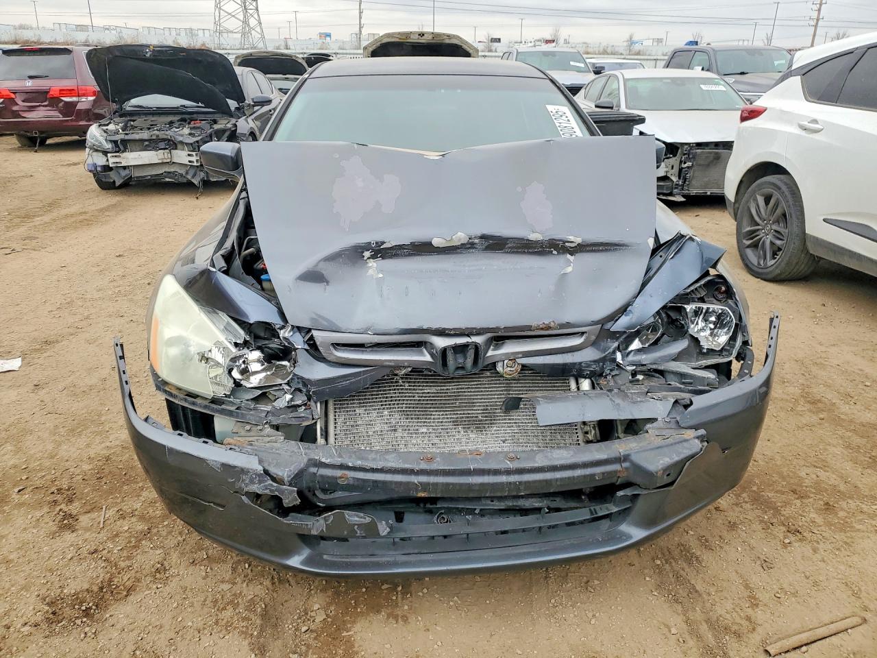2005 Honda Accord Lx Серый vin: 1HGCM55455A187782