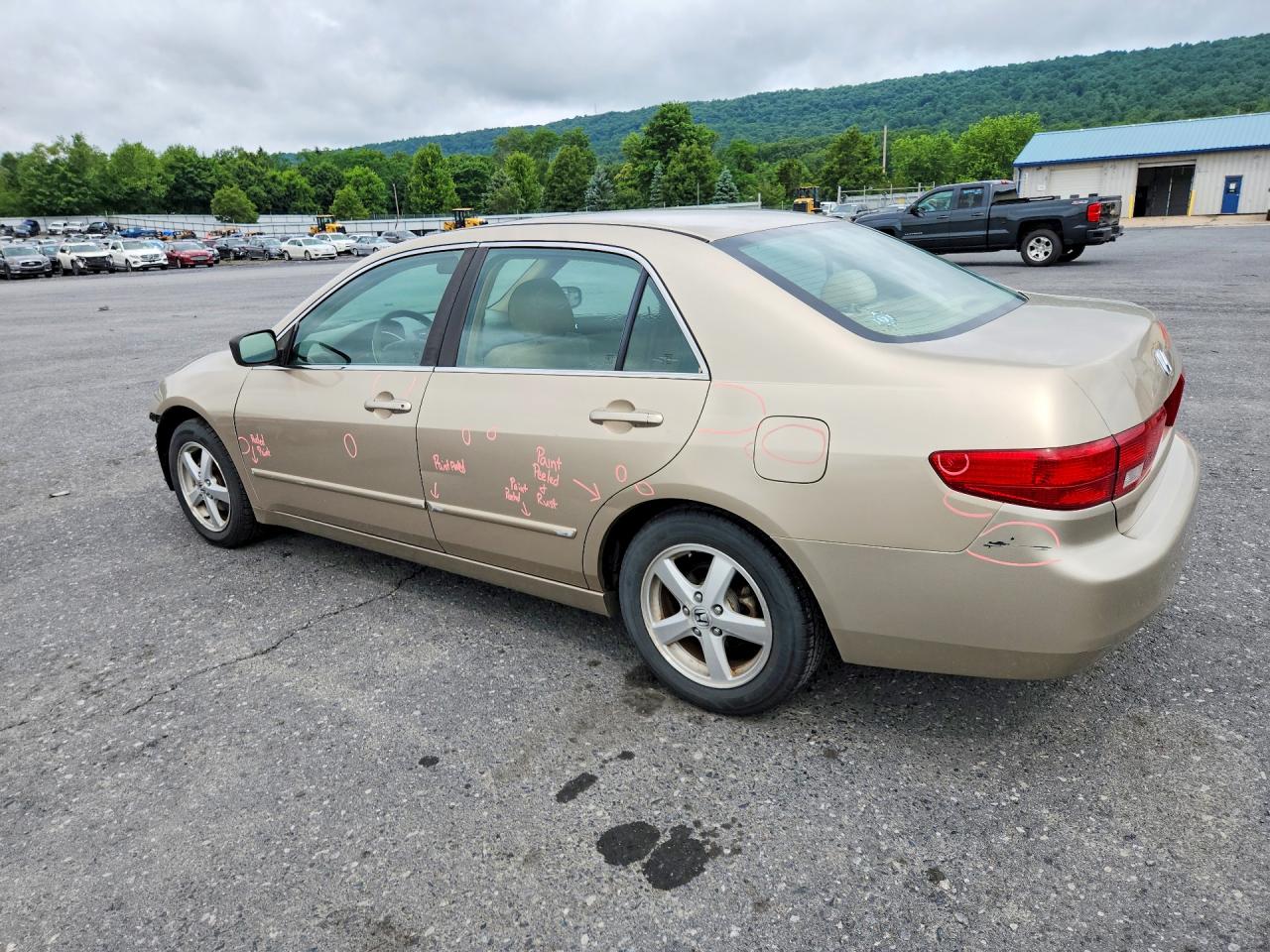 2005 Honda Accord Ex Tan vin: 1HGCM55735A057283
