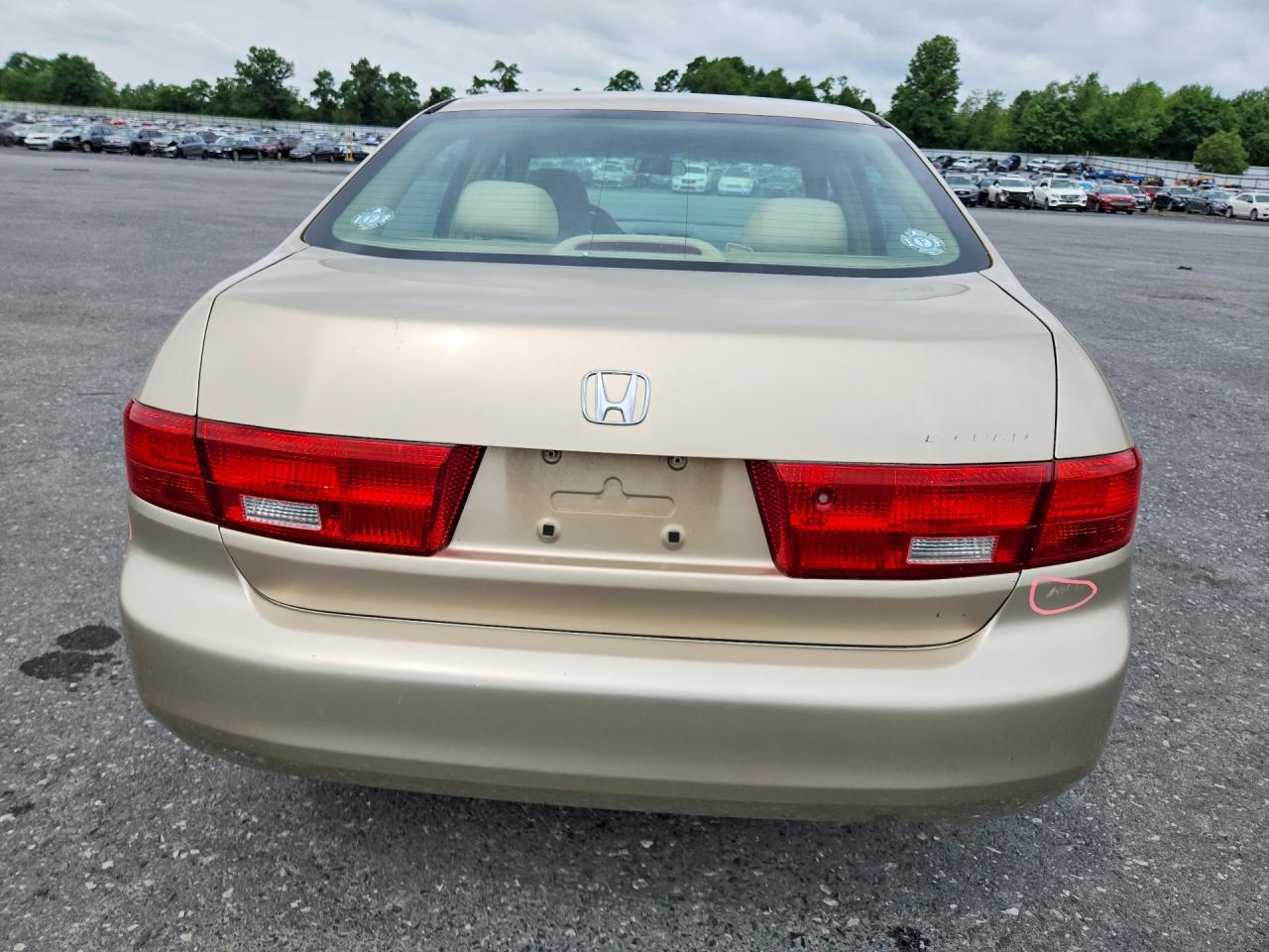 2005 Honda Accord Ex Tan vin: 1HGCM55735A057283