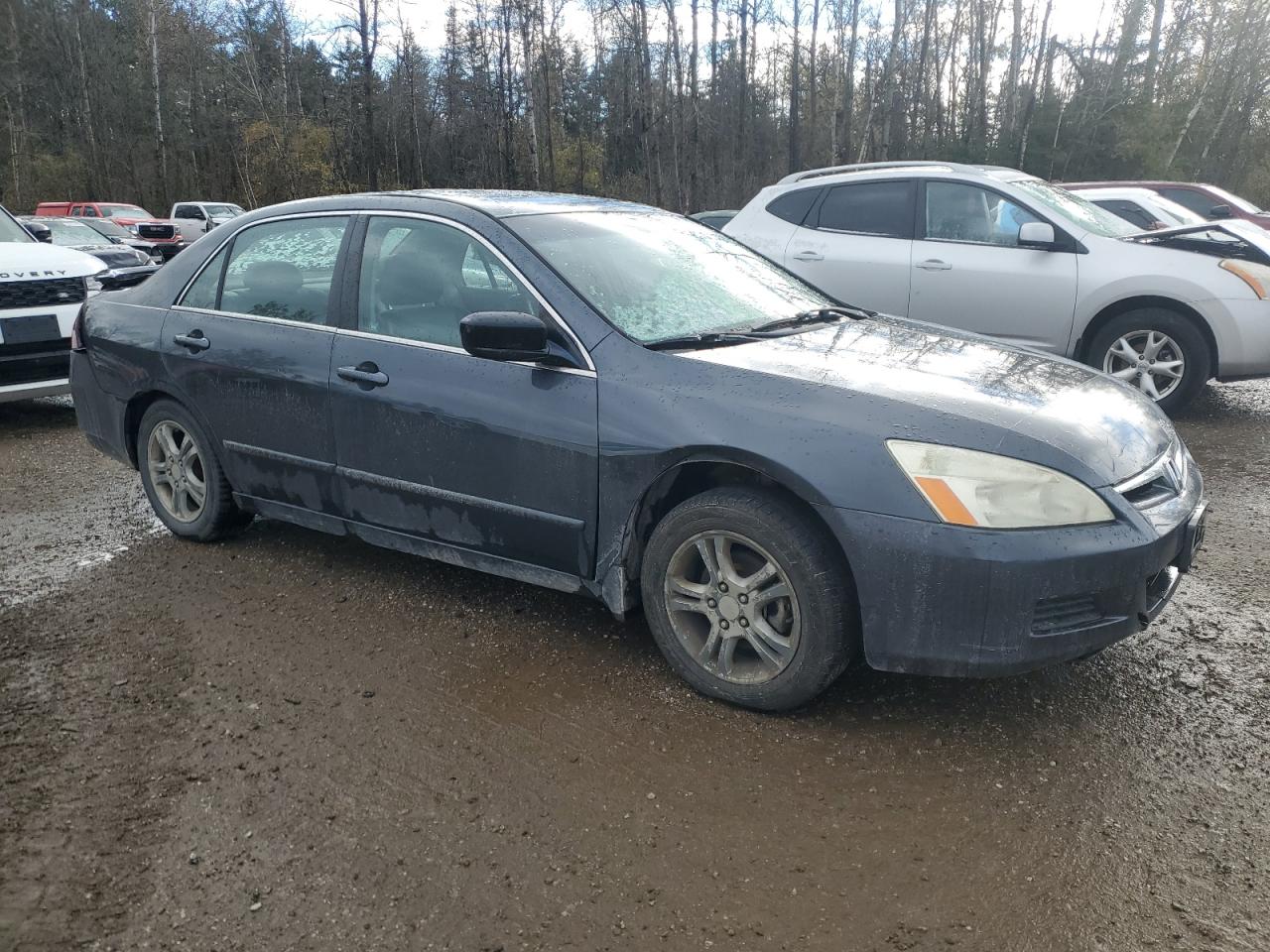 2007 Honda Accord Ex Gray vin: 1HGCM55747A800259