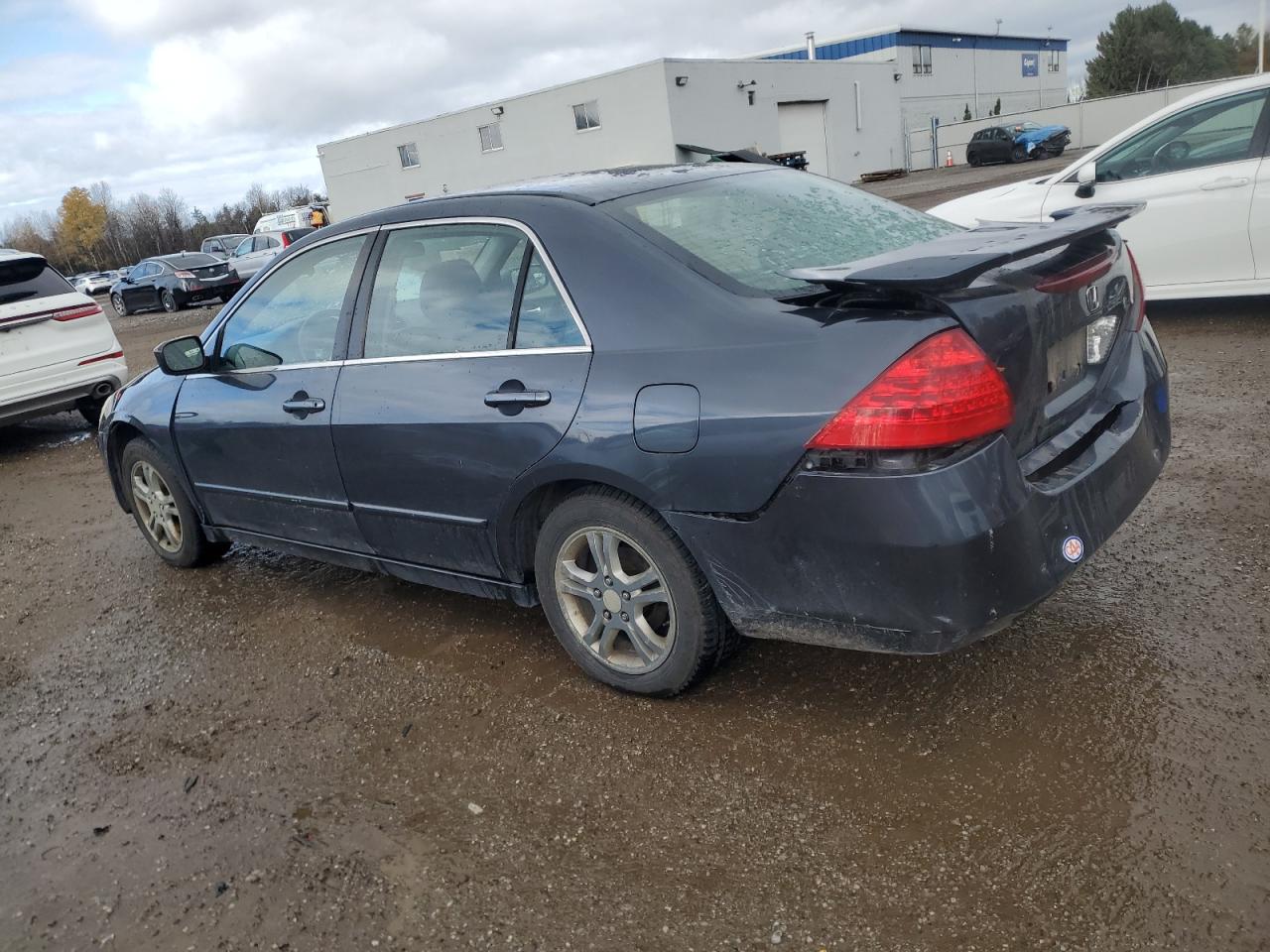 2007 Honda Accord Ex Gray vin: 1HGCM55747A800259