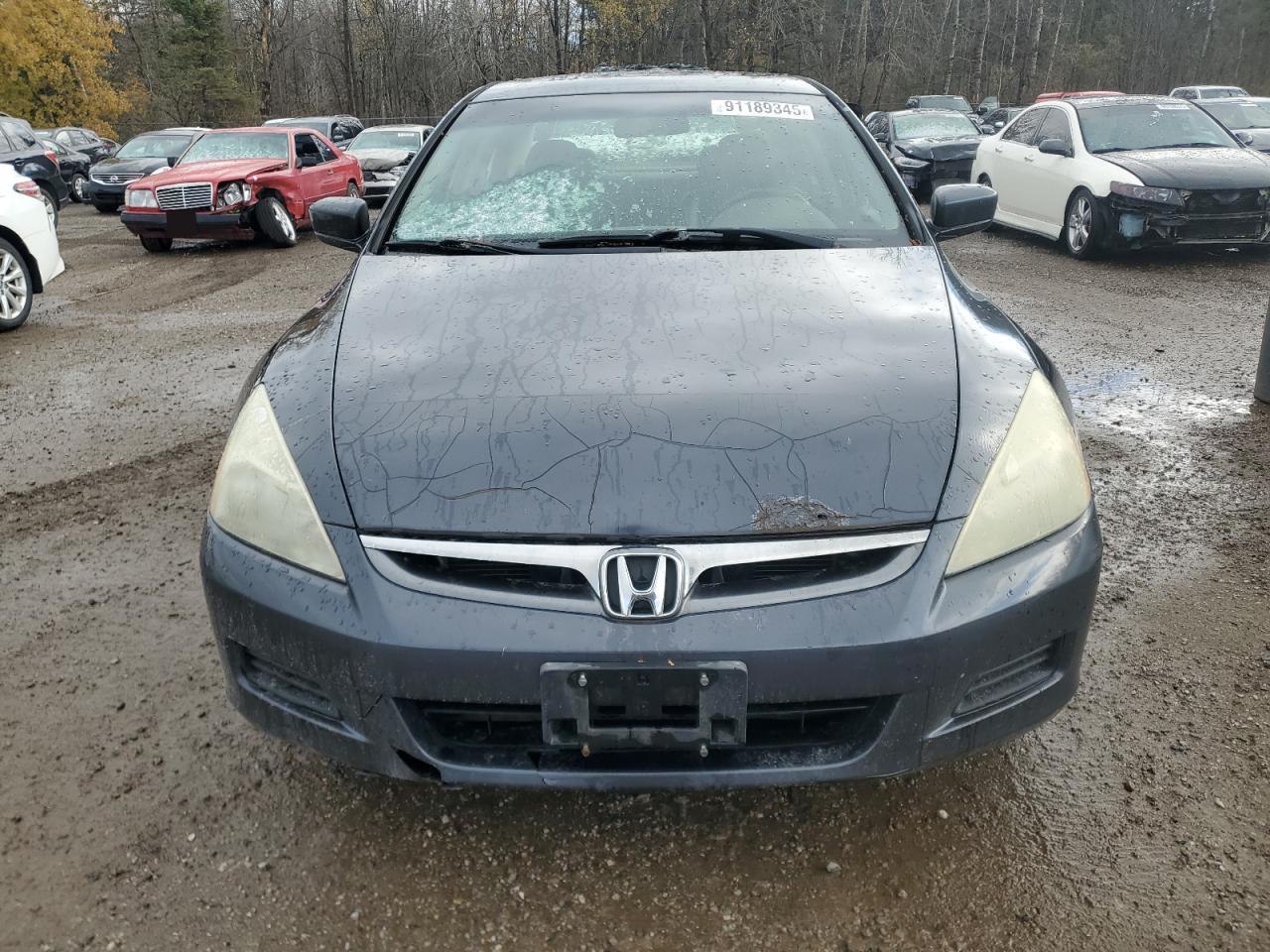 2007 Honda Accord Ex Gray vin: 1HGCM55747A800259