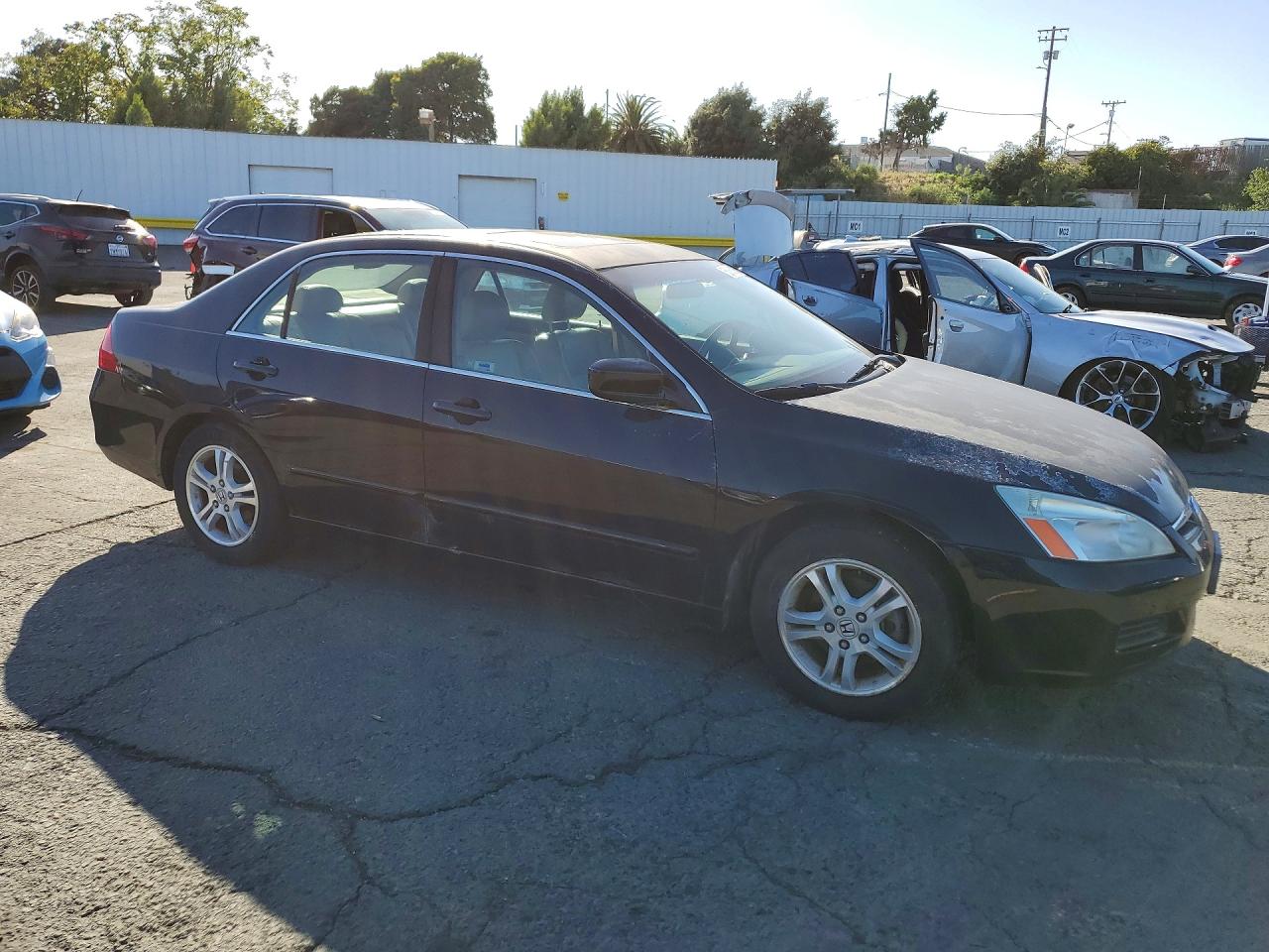 2006 Honda Accord Ex Black vin: 1HGCM55866A176603