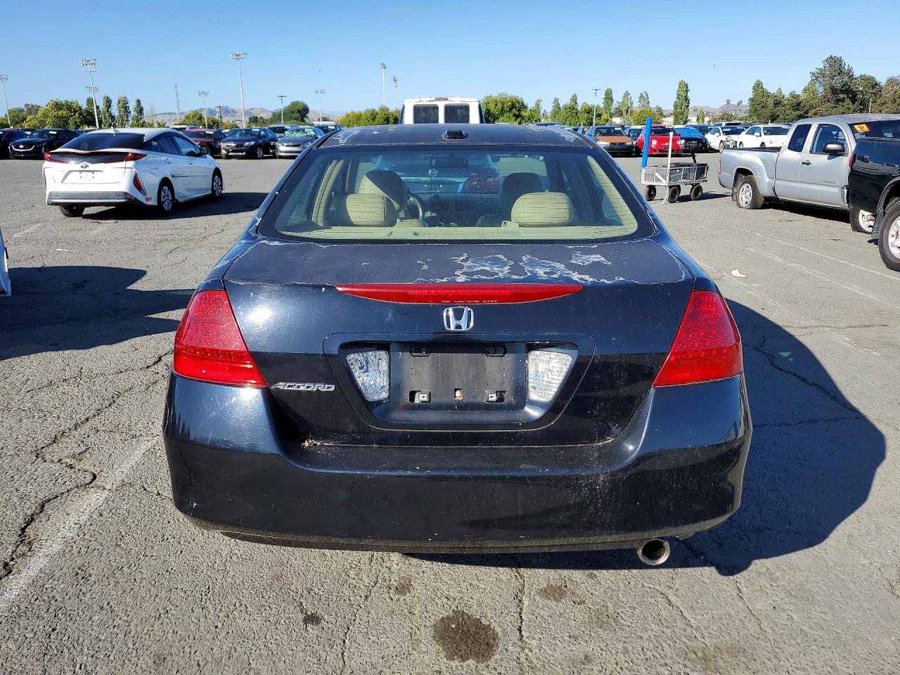 2006 Honda Accord Ex Black vin: 1HGCM55866A176603