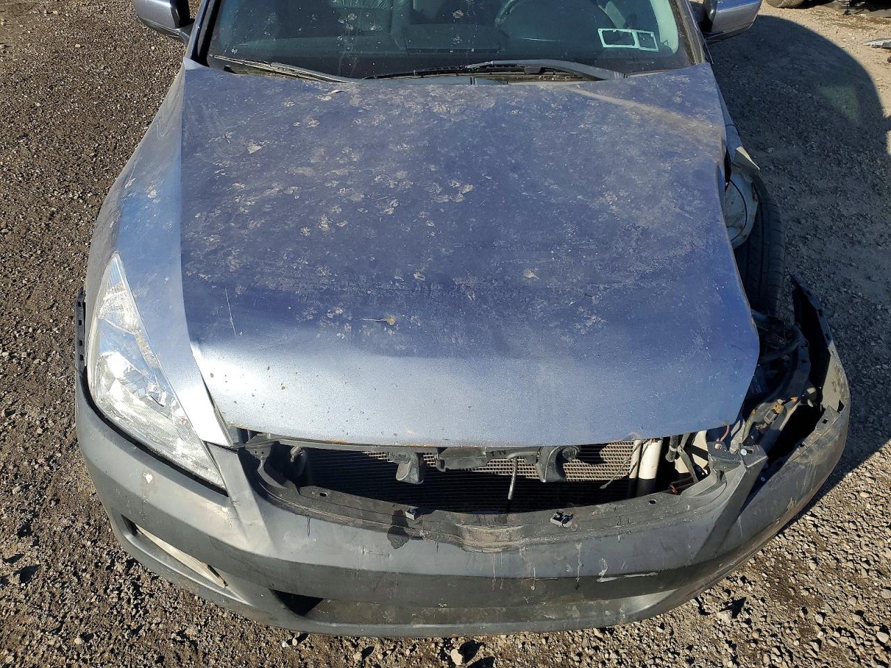 2007 Honda Accord Ex Gray vin: 1HGCM55877A099743