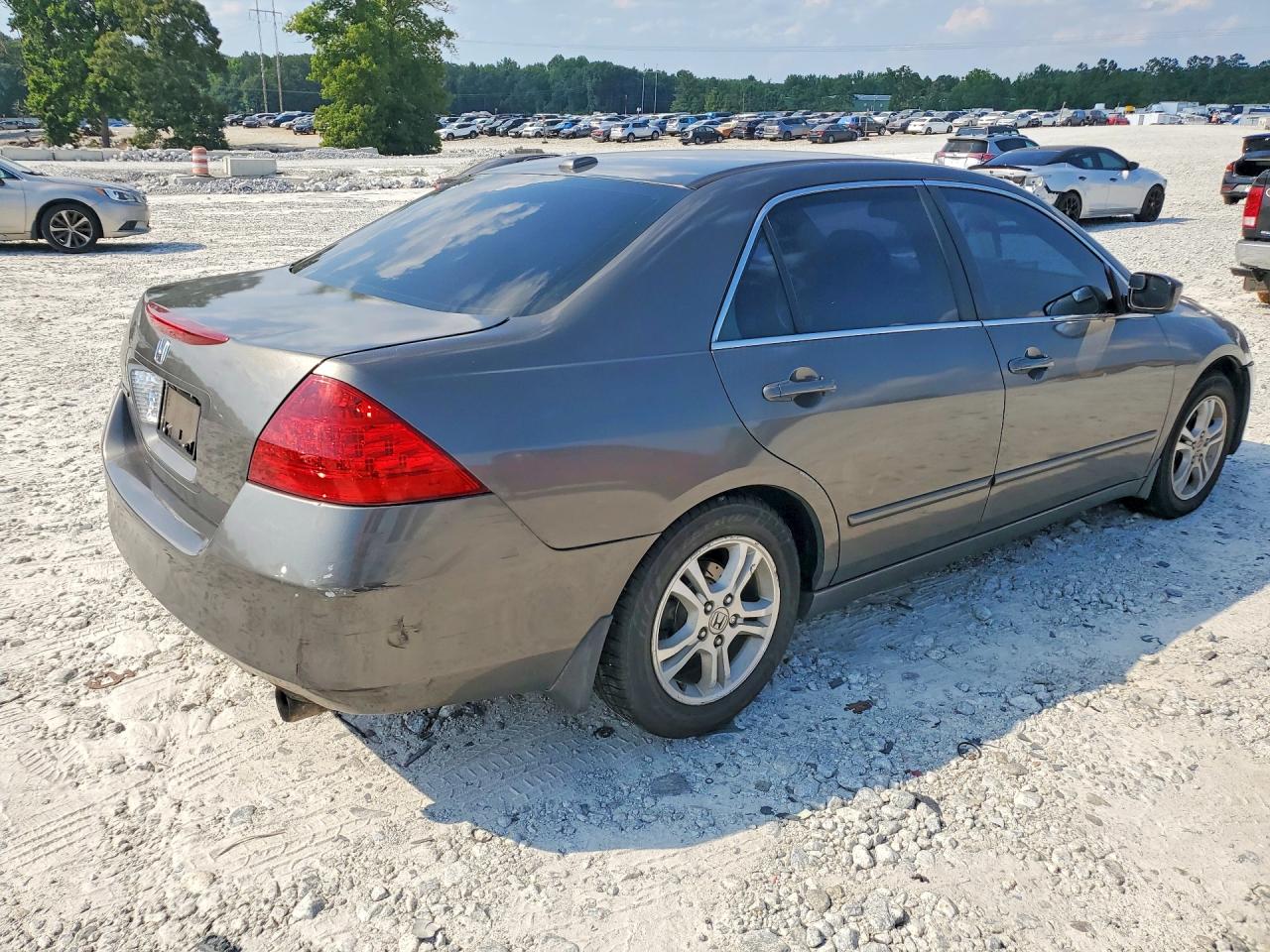 2006 Honda Accord Ex Gray vin: 1HGCM55886A176649