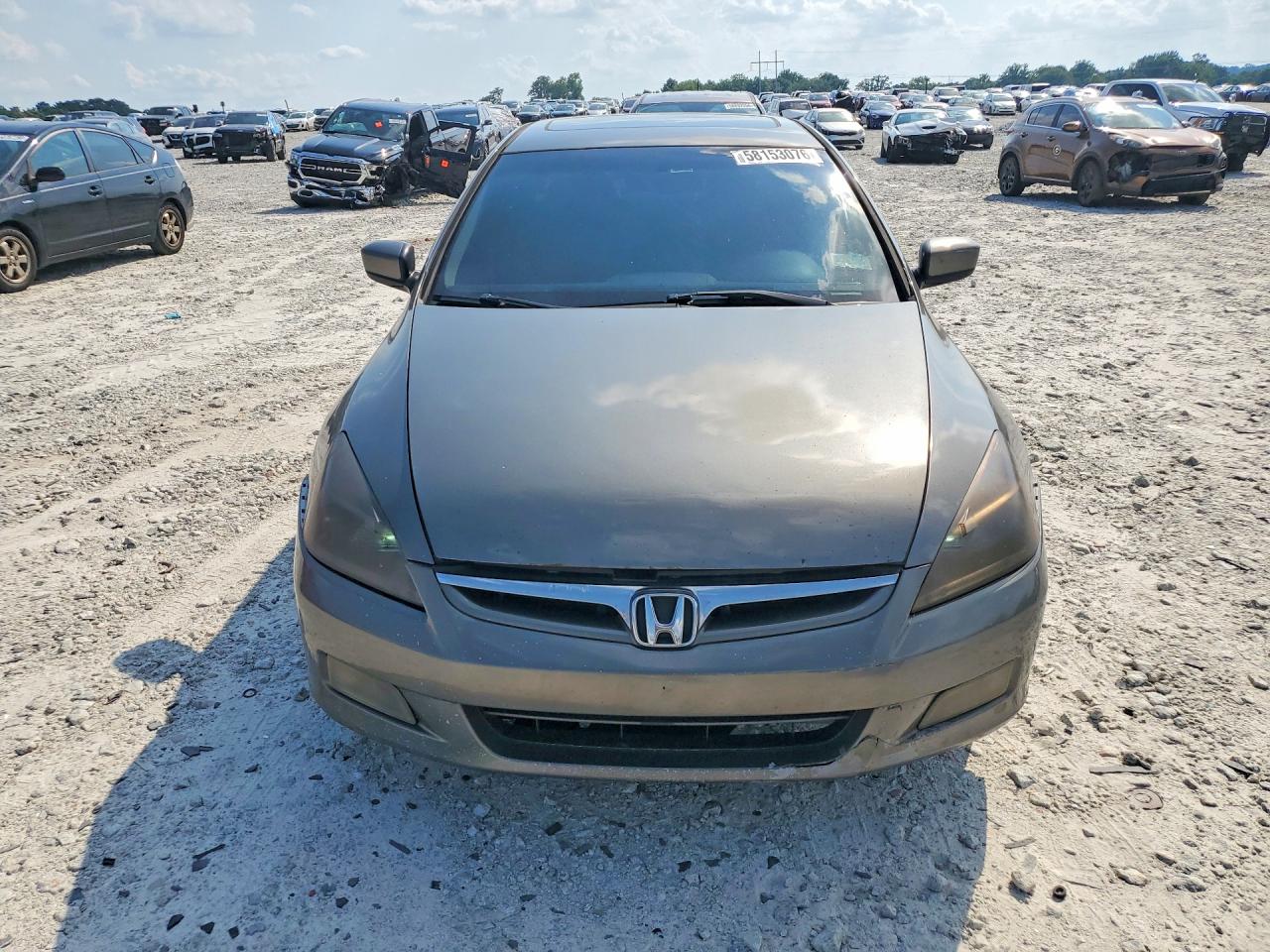 2006 Honda Accord Ex Gray vin: 1HGCM55886A176649