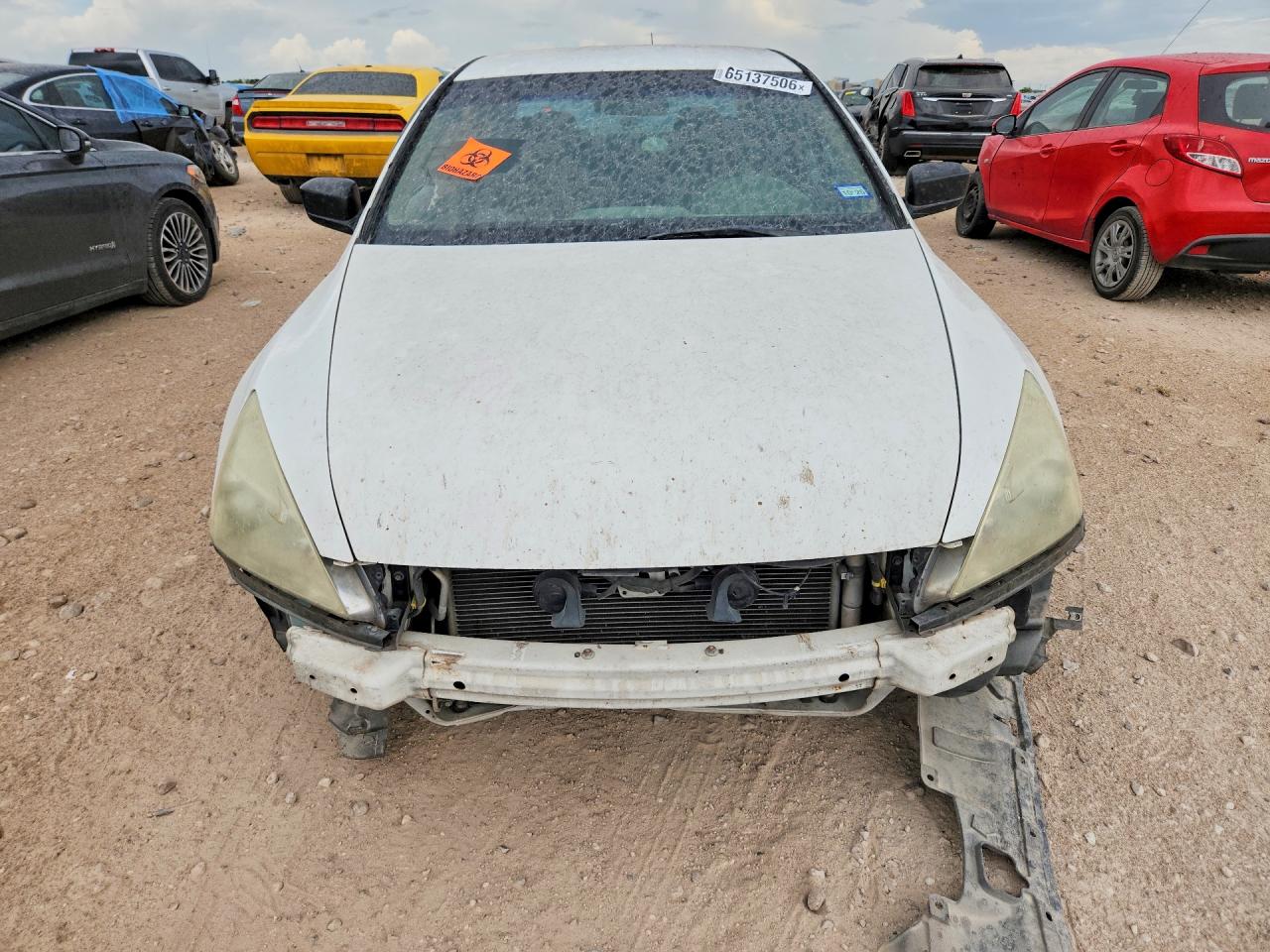 2006 Honda Accord Value White vin: 1HGCM56156A019789