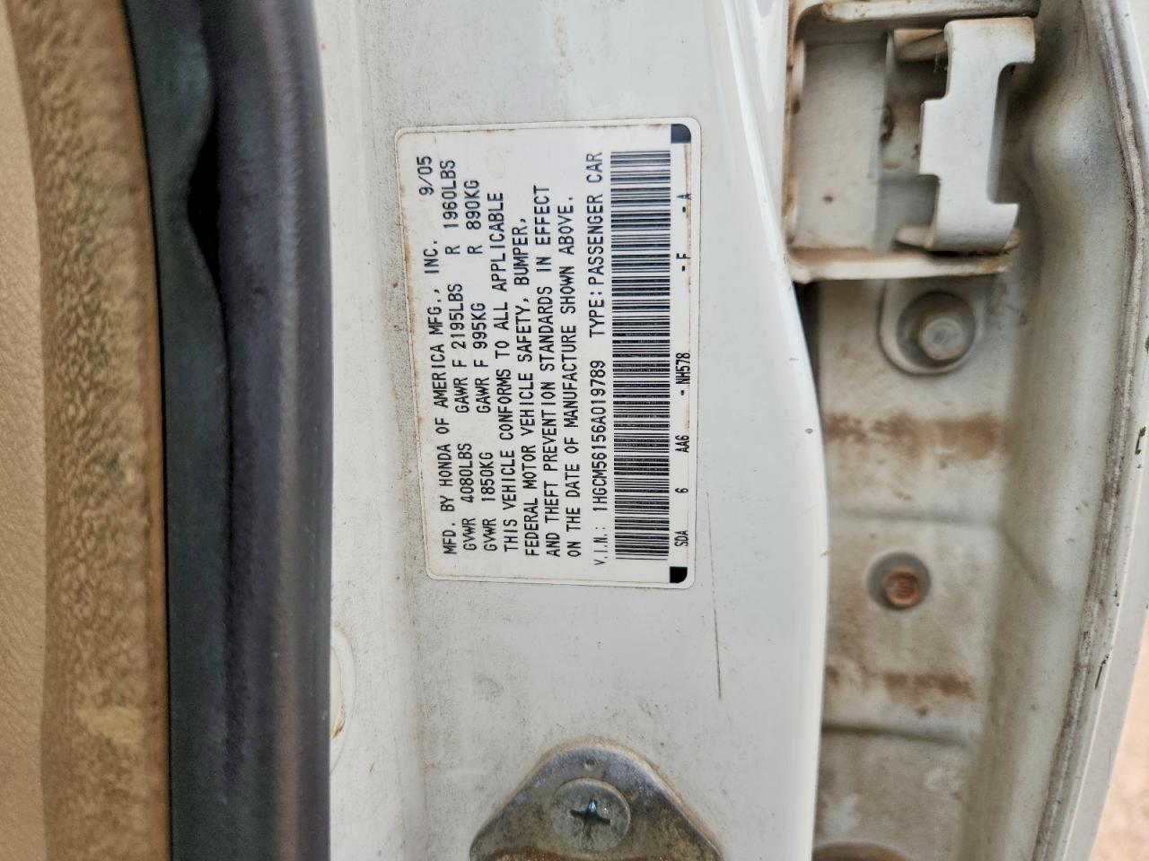 2006 Honda Accord Value White vin: 1HGCM56156A019789