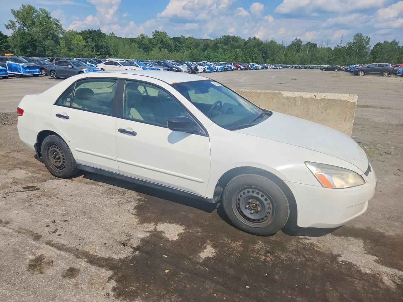 2003 Honda Accord Dx Белый vin: 1HGCM56163A109934