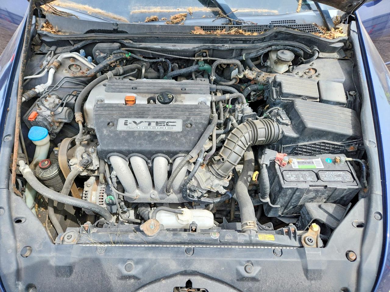 2006 Honda Accord Value Blue vin: 1HGCM56176A103709