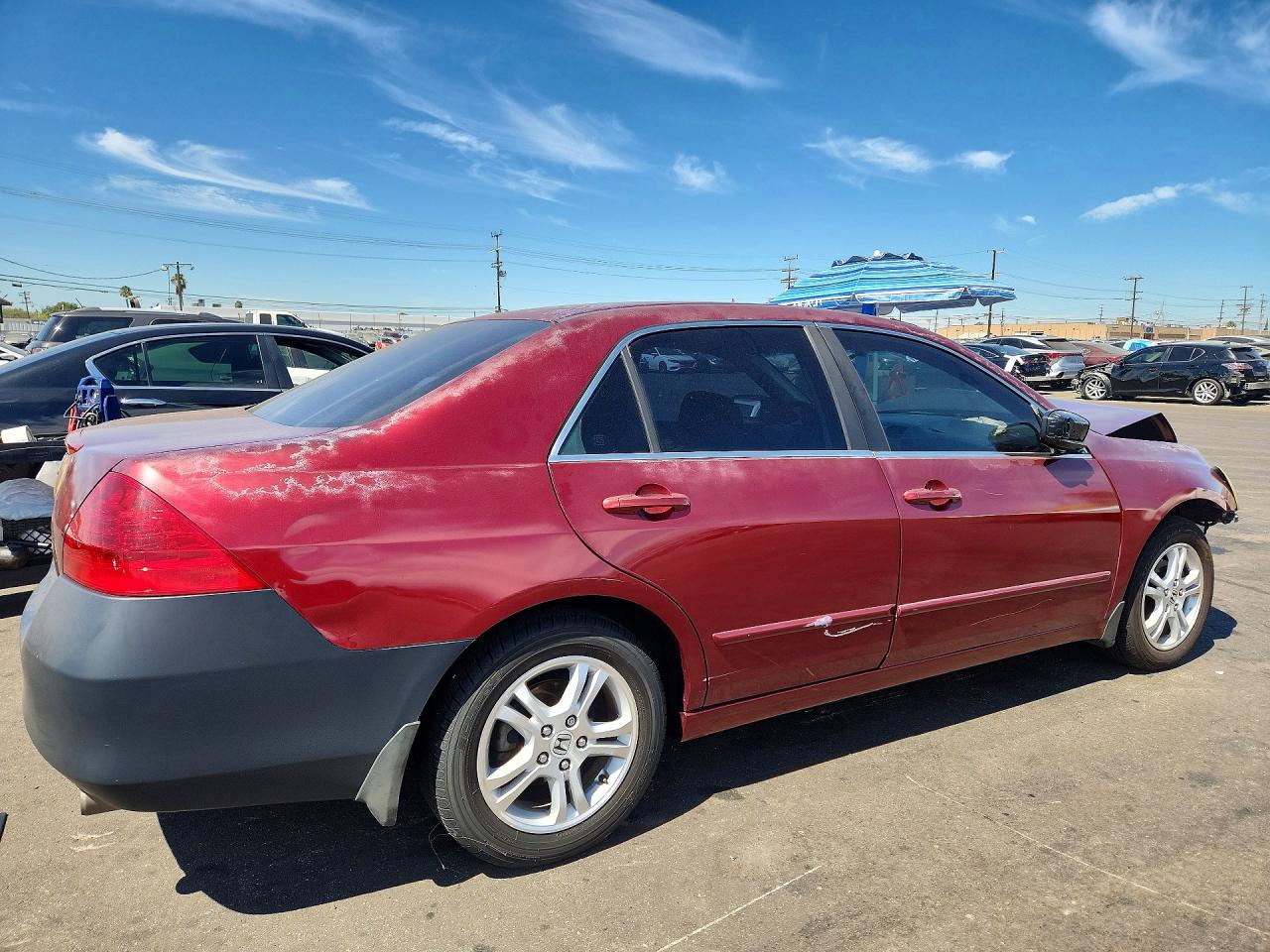 2006 Honda Accord Se Бордовый vin: 1HGCM56306A181749