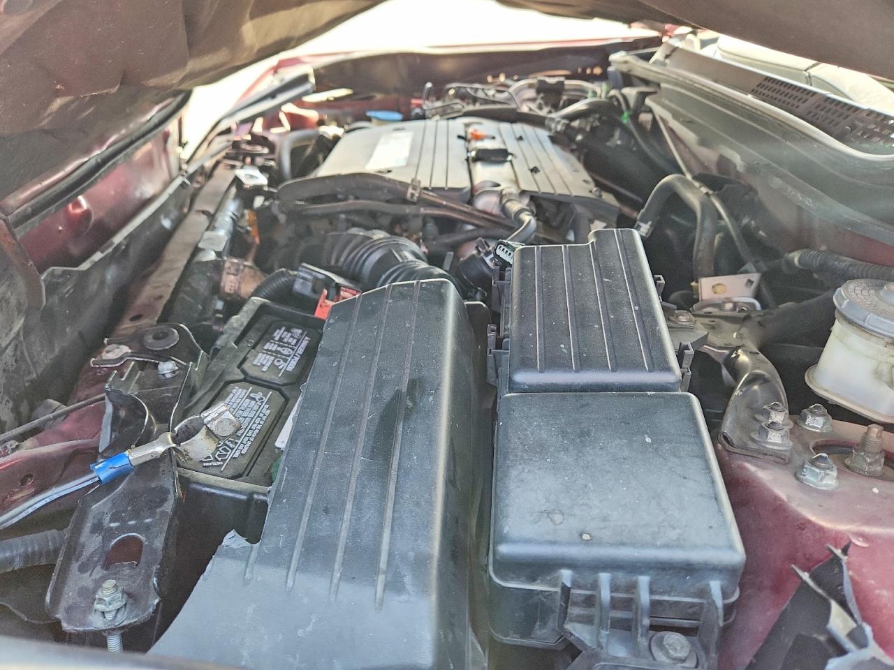 2006 Honda Accord Se Бордовый vin: 1HGCM56306A181749