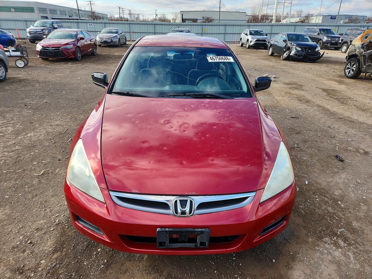 2007 Honda Accord Se Burgundy vin: 1HGCM56307A055036