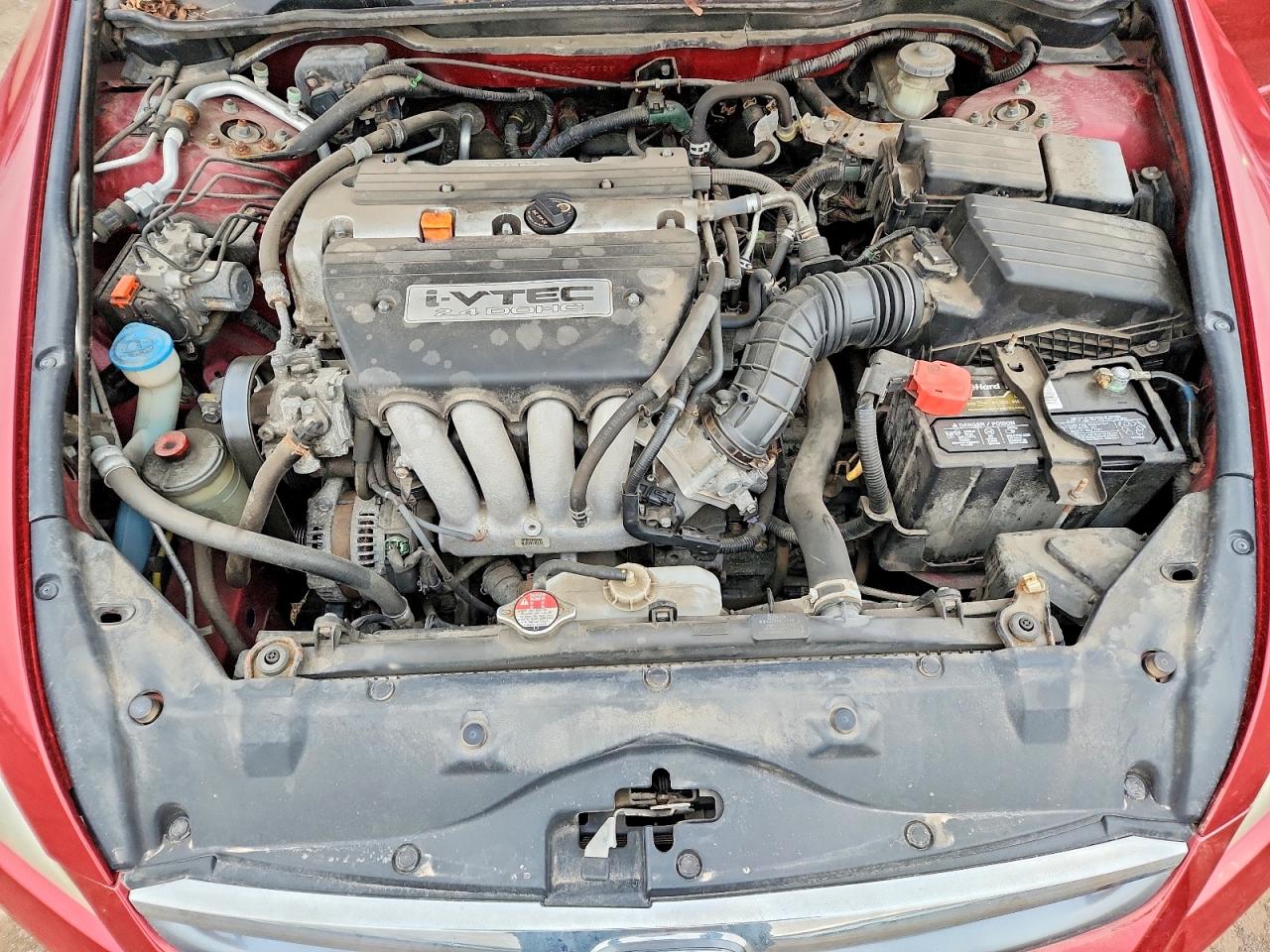2007 Honda Accord Se Burgundy vin: 1HGCM56307A055036