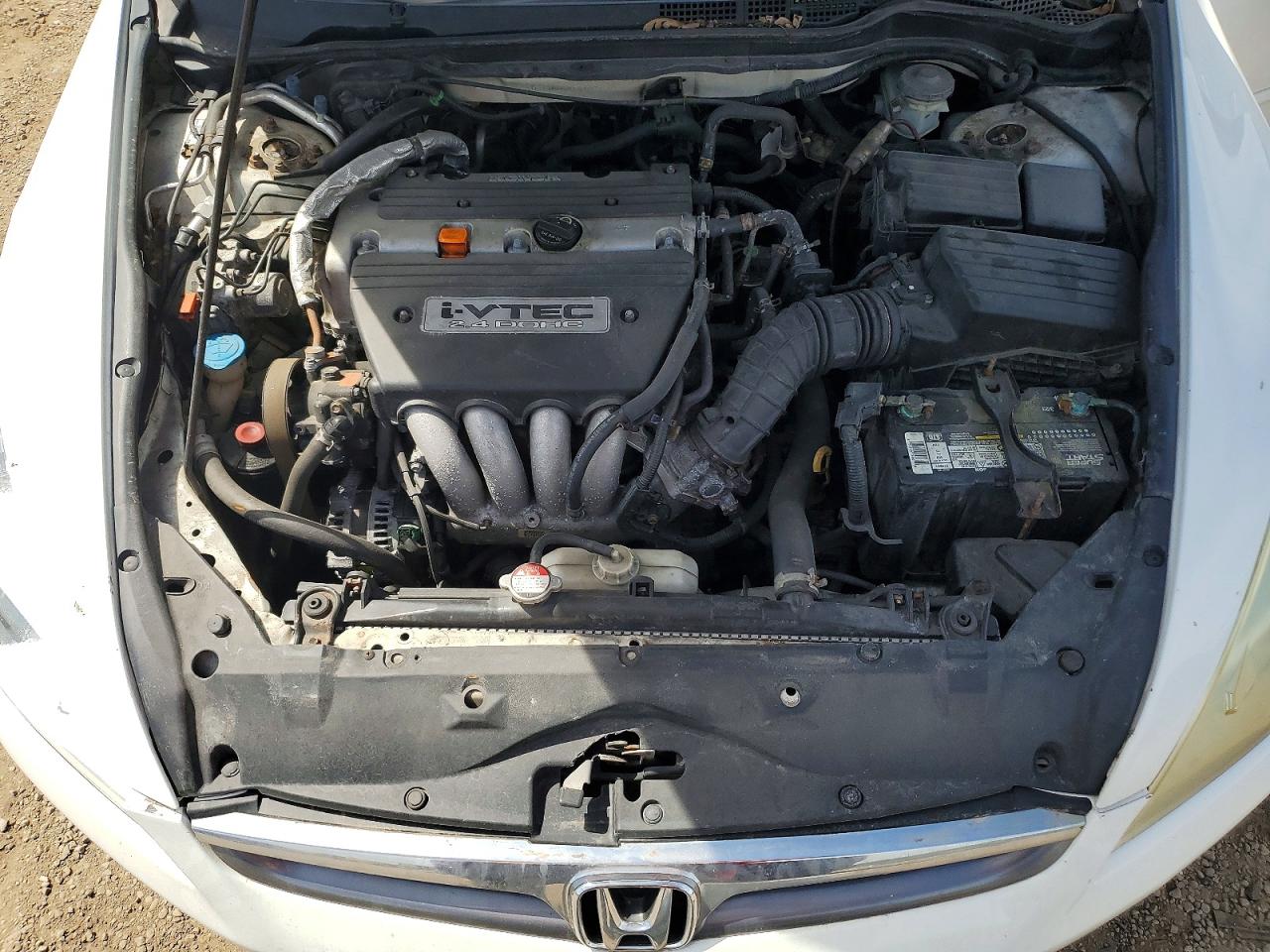 2006 Honda Accord Se White vin: 1HGCM56316A026403