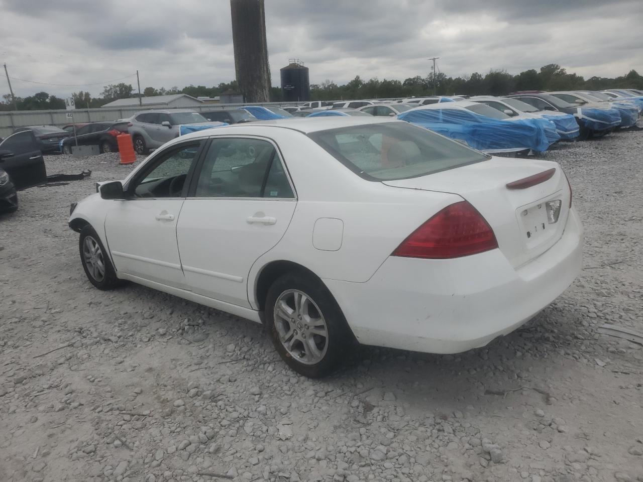 2007 Honda Accord Se White vin: 1HGCM56317A188002