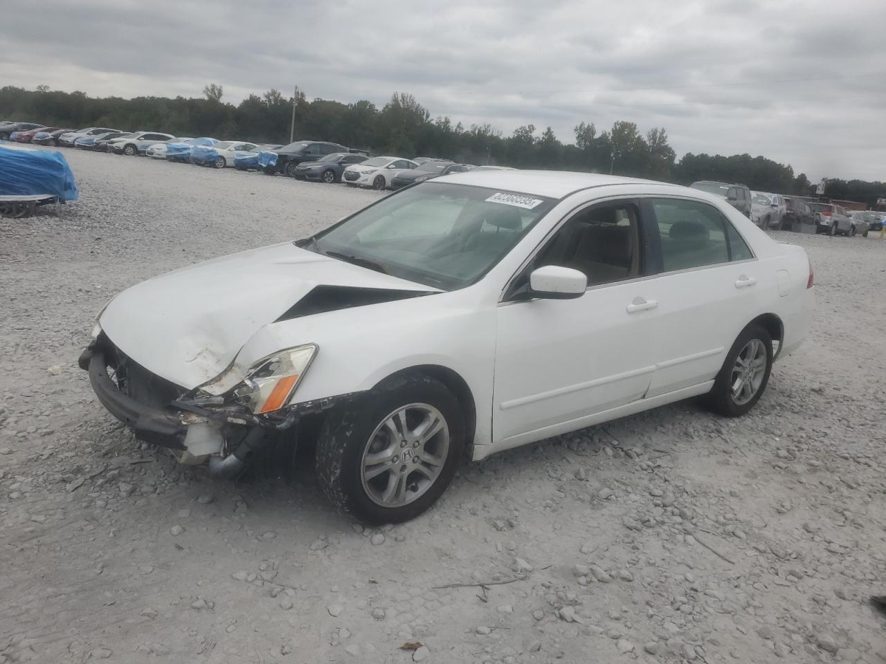 2007 Honda Accord Se White vin: 1HGCM56317A188002