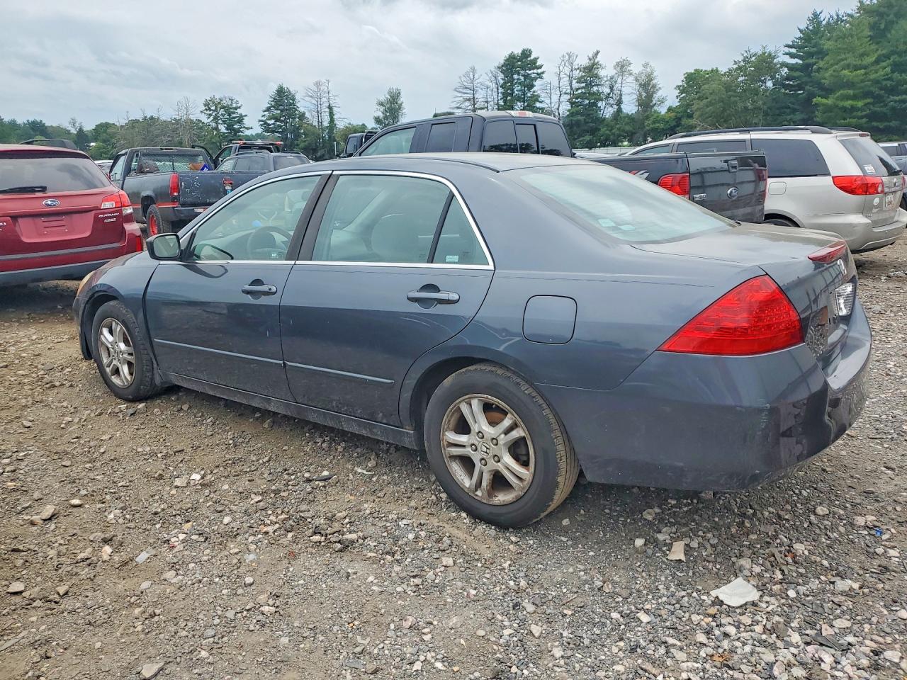 2006 Honda Accord Se Gray vin: 1HGCM56326A146680
