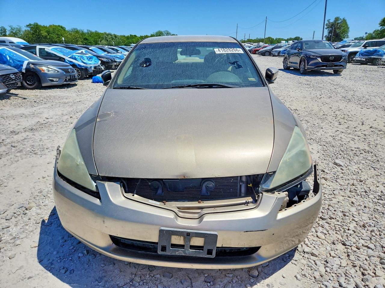 2003 Honda Accord Lx Tan vin: 1HGCM56333A143752