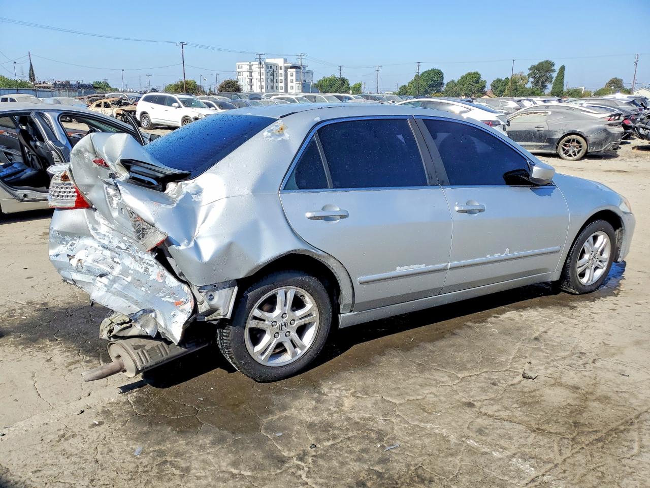 2006 Honda Accord Se Silver vin: 1HGCM56336A036303