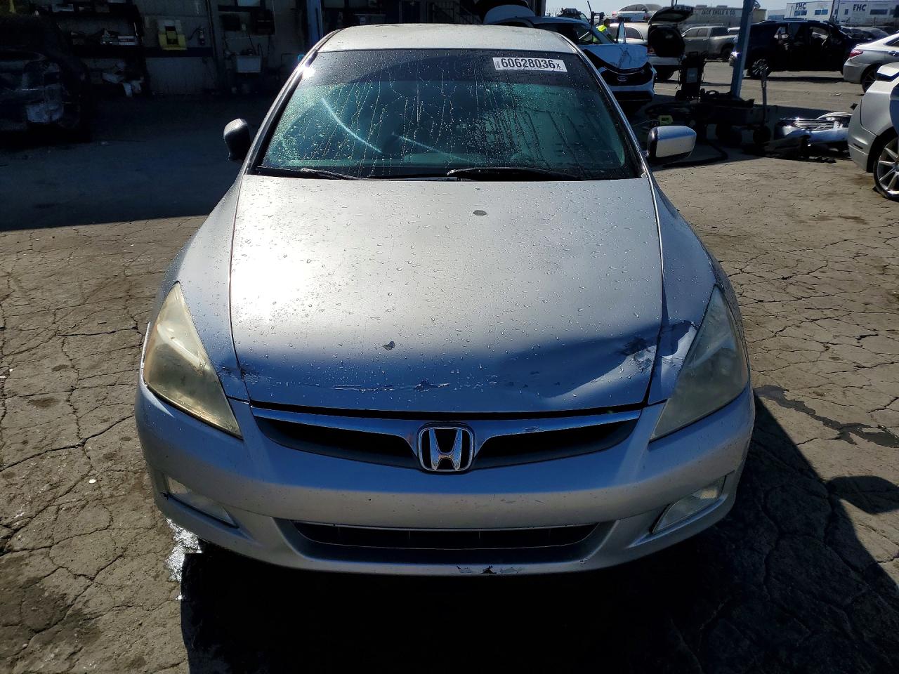 2006 Honda Accord Se Silver vin: 1HGCM56336A036303