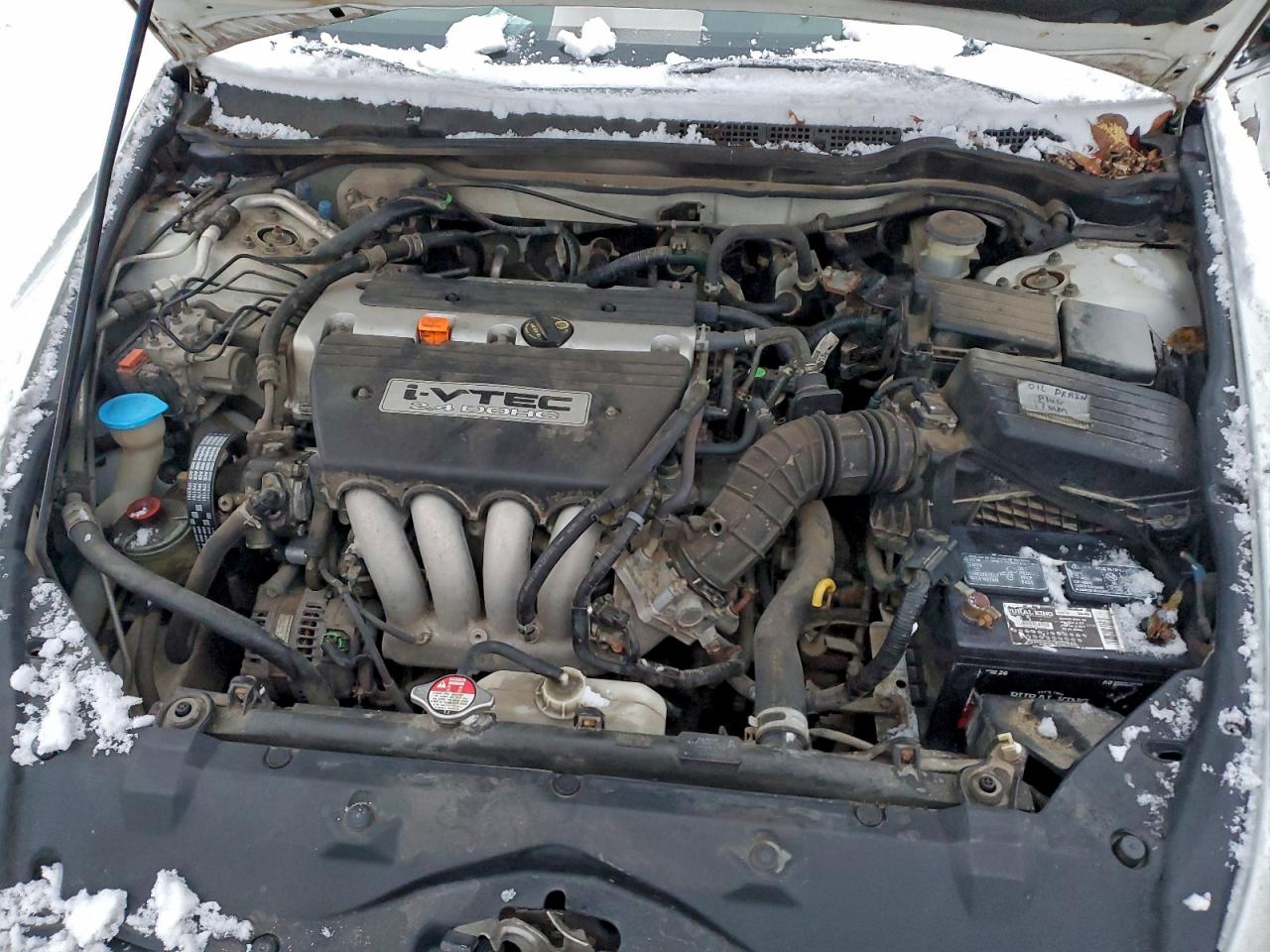 2006 Honda Accord Se White vin: 1HGCM56346A018330