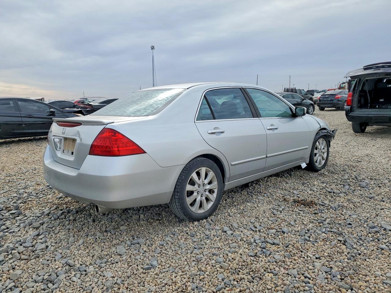 2006 Honda Accord Se Silver vin: 1HGCM56356A013590
