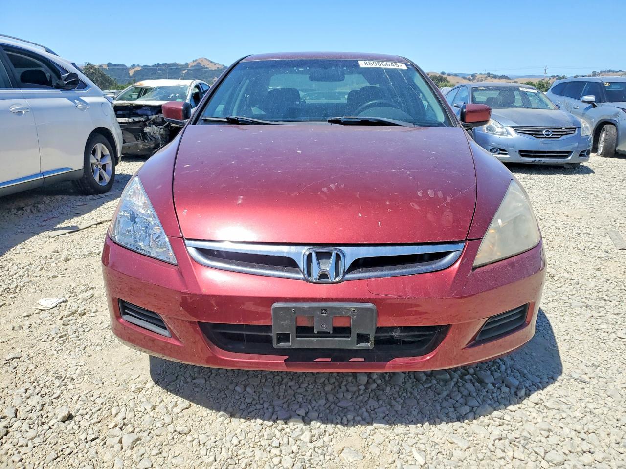 2006 Honda Accord Se Red vin: 1HGCM56356A083476