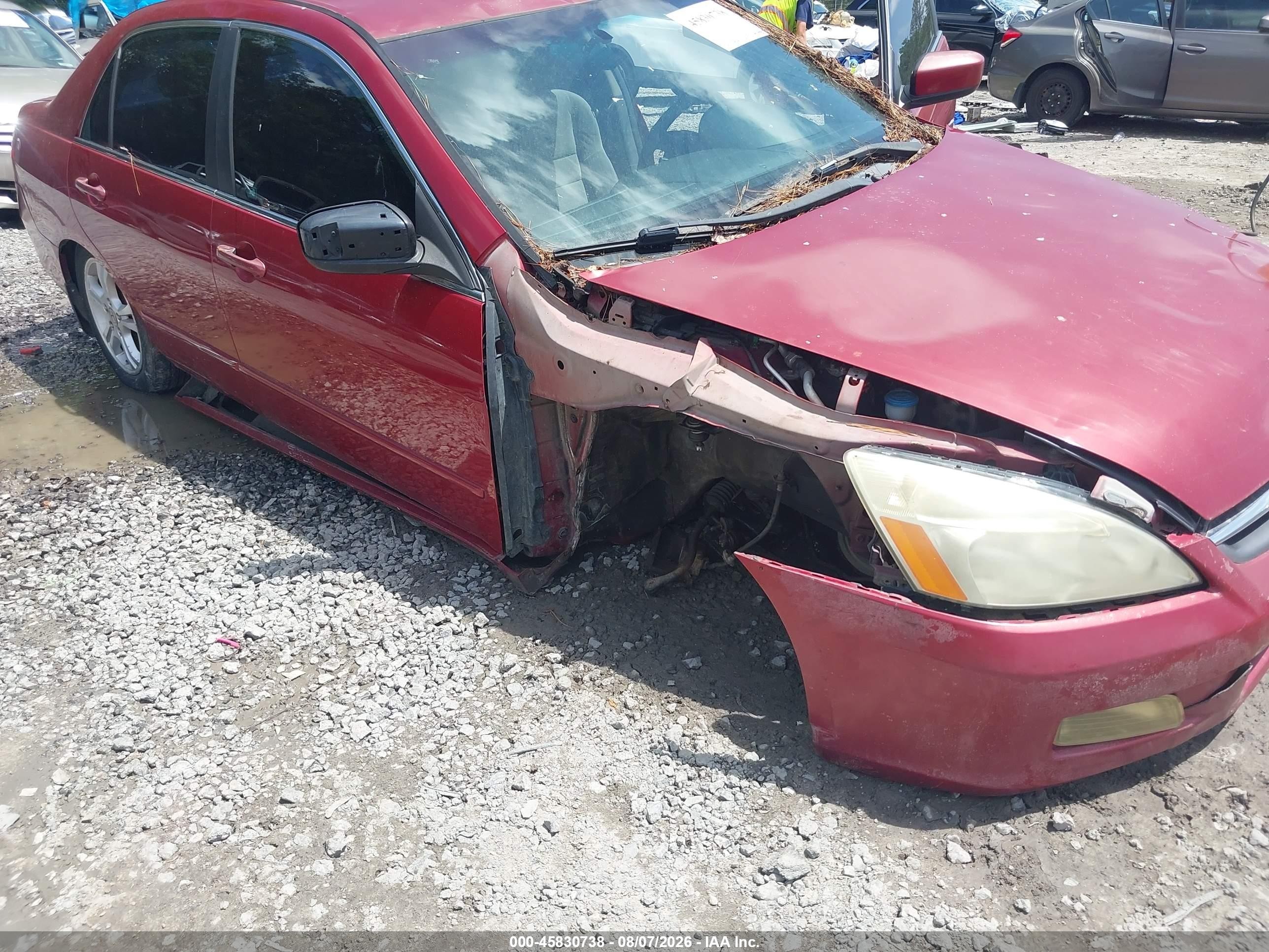 2007 Honda Accord 2.4 Se Red vin: 1HGCM56357A071801