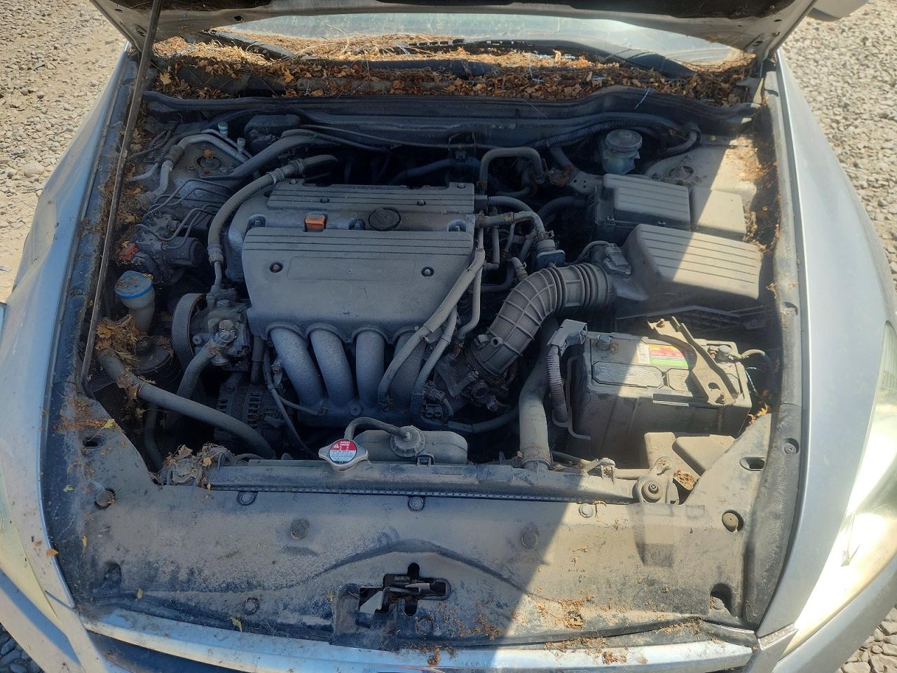 2007 Honda Accord Se Silver vin: 1HGCM56357A209482