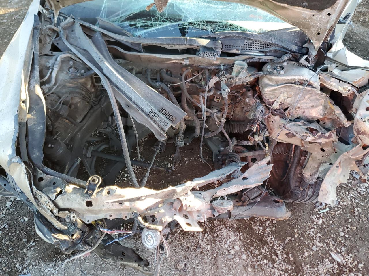 2003 Honda Accord Lx Tan vin: 1HGCM56363A147052