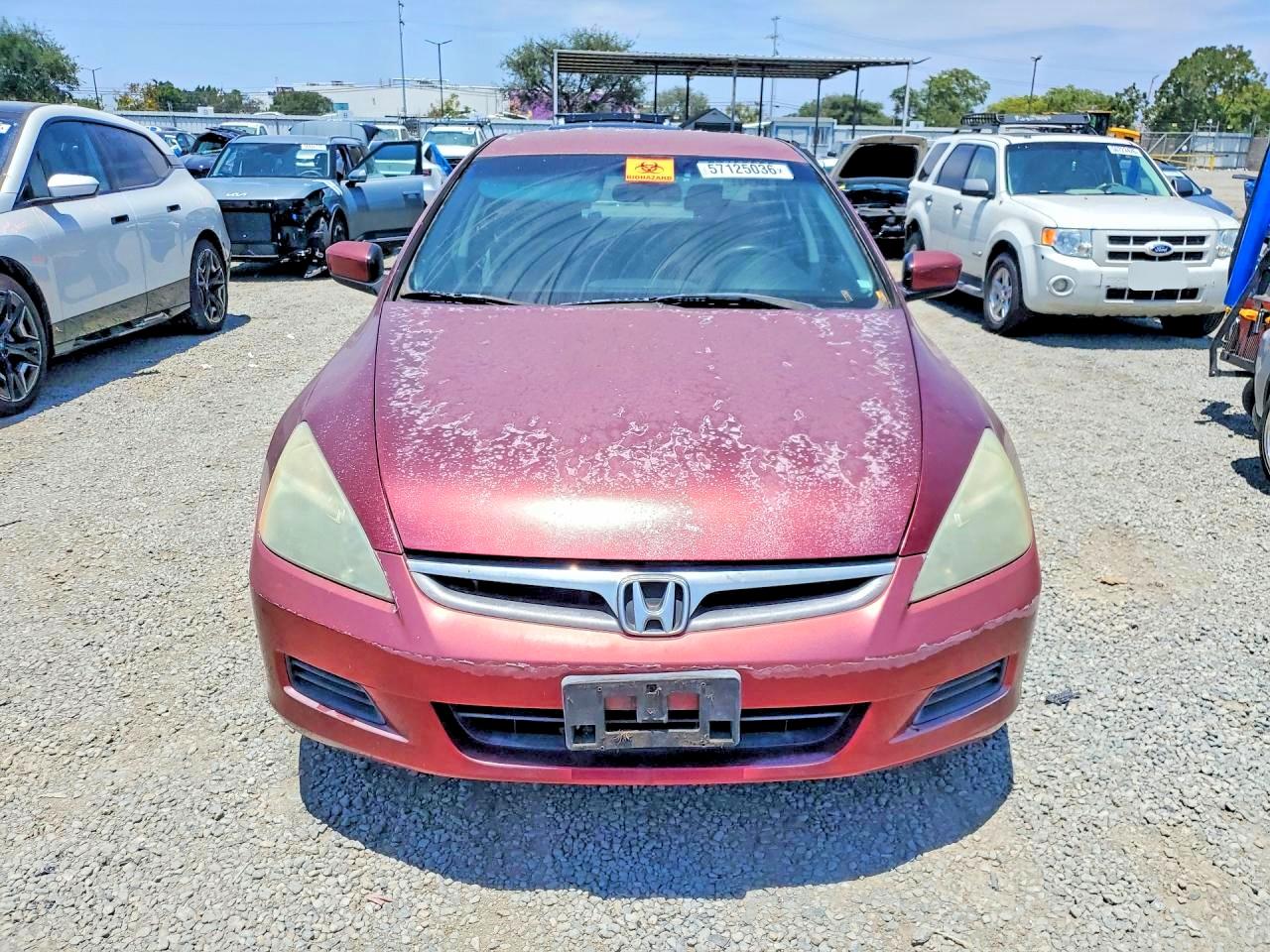 2006 Honda Accord Se Burgundy vin: 1HGCM56376A053279