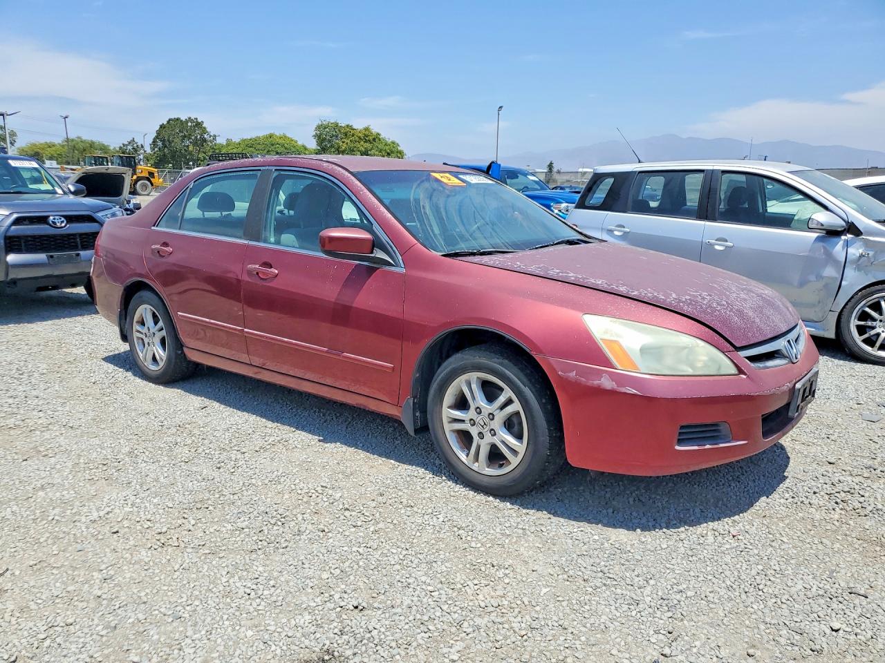 2006 Honda Accord Se Burgundy vin: 1HGCM56376A053279