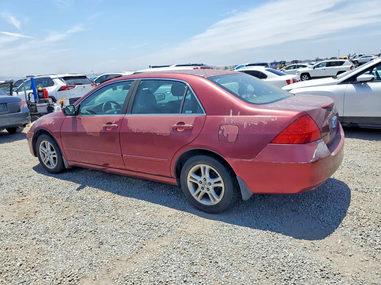 2006 Honda Accord Se Burgundy vin: 1HGCM56376A053279