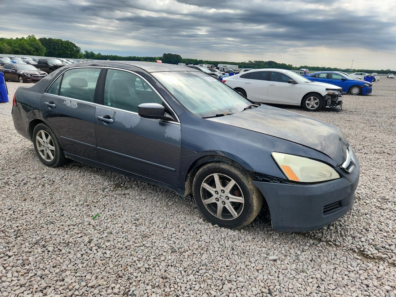 2006 Honda Accord Синий vin: 1HGCM56376A168187