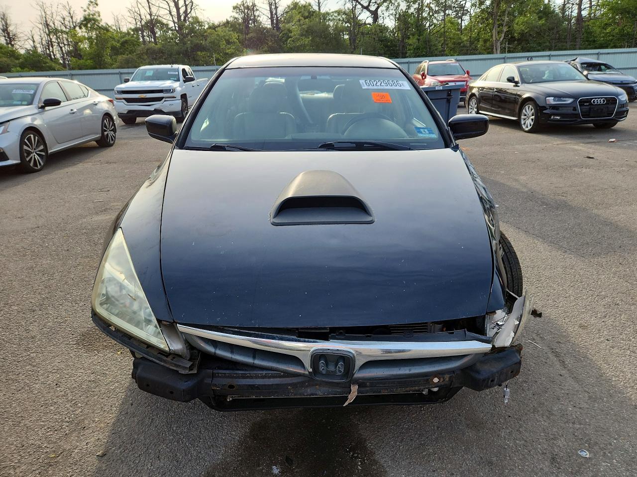 2003 Honda Accord Lx Black vin: 1HGCM56383A098632