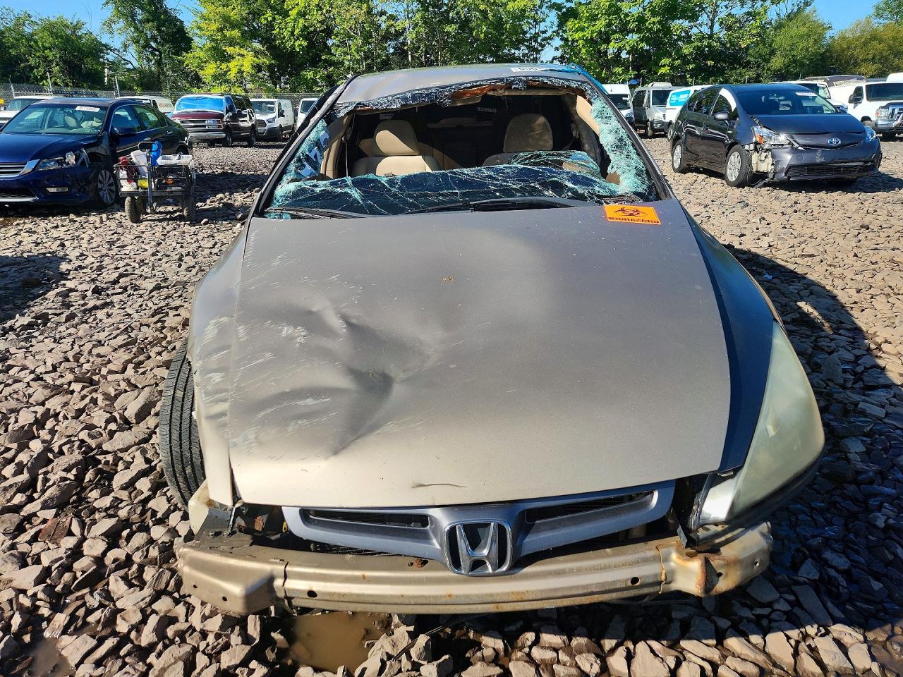 2004 Honda Accord Lx Tan vin: 1HGCM56384A177512