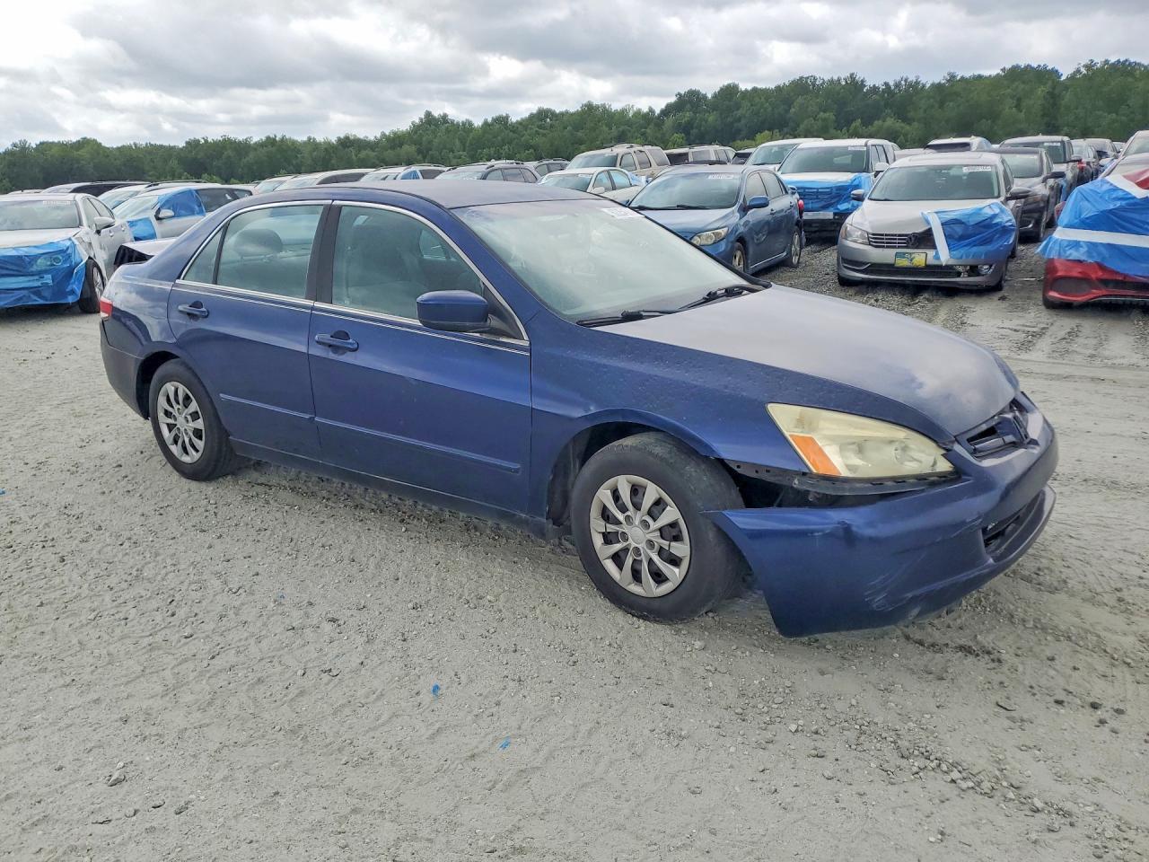 2003 Honda Accord Ex Blue vin: 1HGCM56393A035006