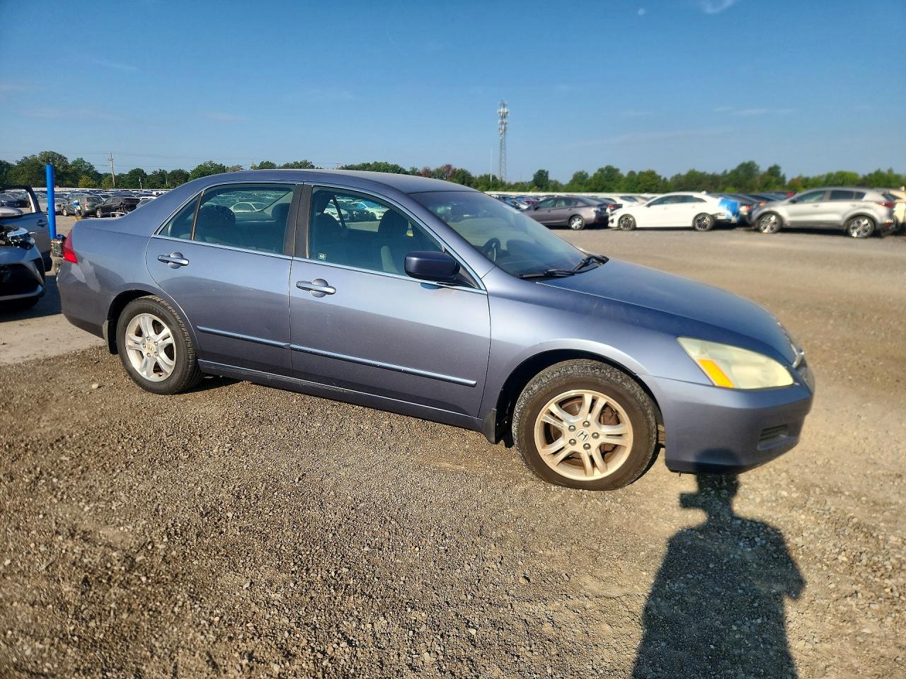 2007 Honda Accord Se Blue vin: 1HGCM56397A155149