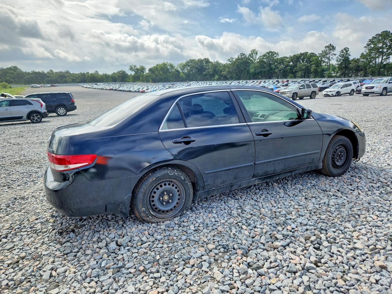 2003 Honda Accord Lx Black vin: 1HGCM563X3A046063