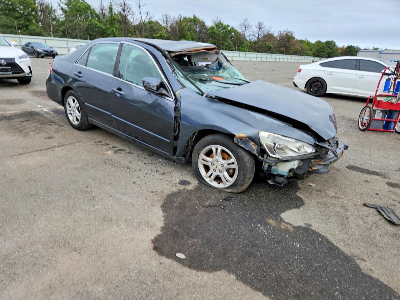 2006 Honda Accord Se Charcoal vin: 1HGCM563X6A111739