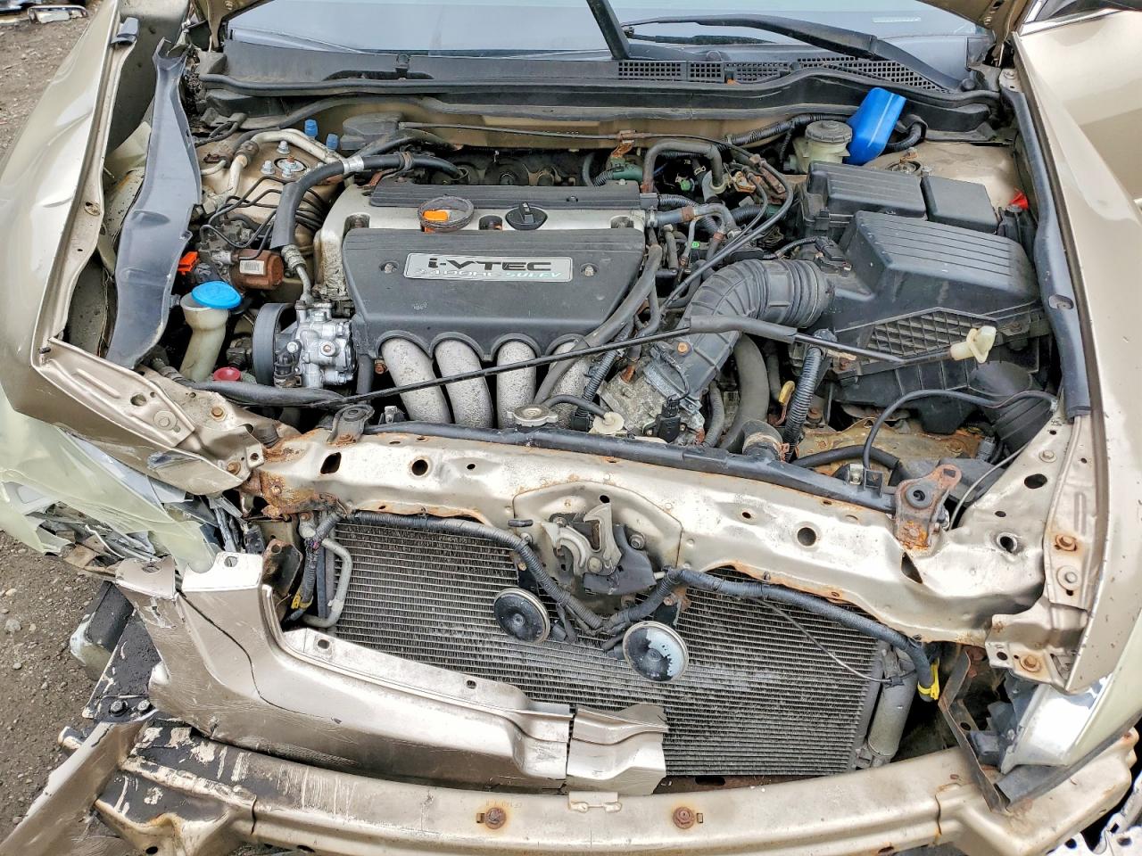 2005 Honda Accord Lx Beige vin: 1HGCM56405A049324
