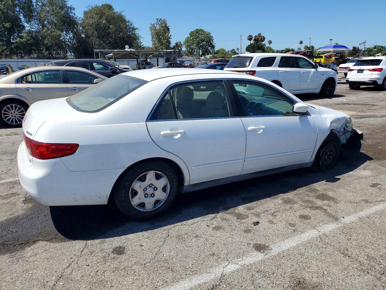 2005 Honda Accord Lx White vin: 1HGCM56405A092898